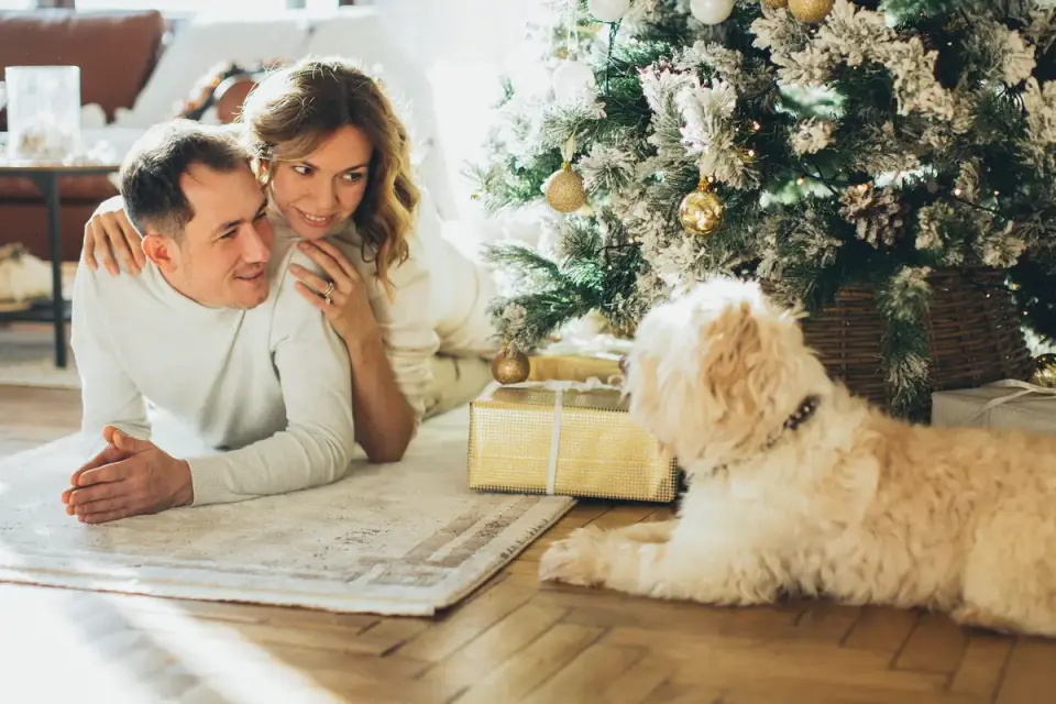 A Goldendoodle lying calmly on a living room floor near a family