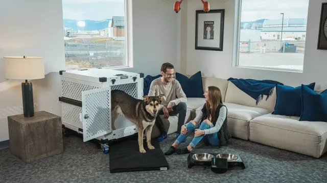 A medium-sized dog standing fully upright inside an open wire crate