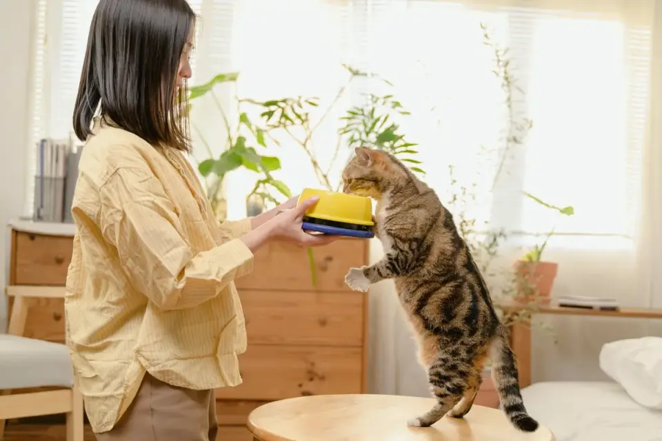A senior dog eating from a bowl in a home kitchen while an owner watches nearby