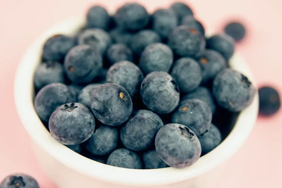 A small bowl of fresh blueberries beside a resting dog&#x27;s paw on a wood floor