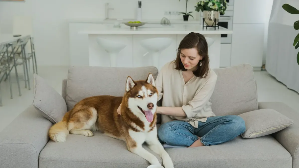 Dog at home near a kitchen