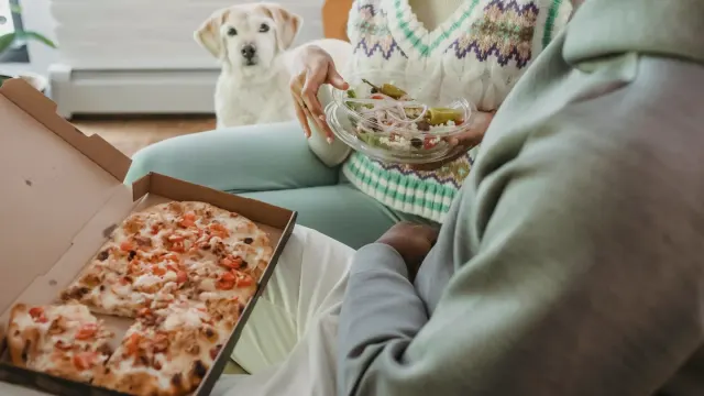 Dog eating from a bowl