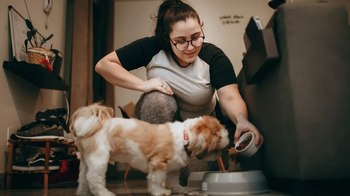 Dog eating from a bowl
