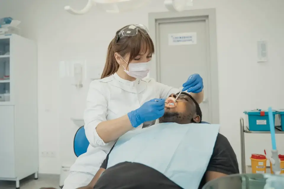 Veterinarian checking a dog&#x27;s gum color during an exam